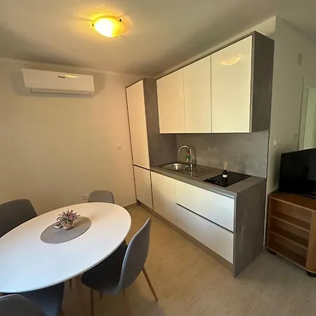 Guest house Danica 3*